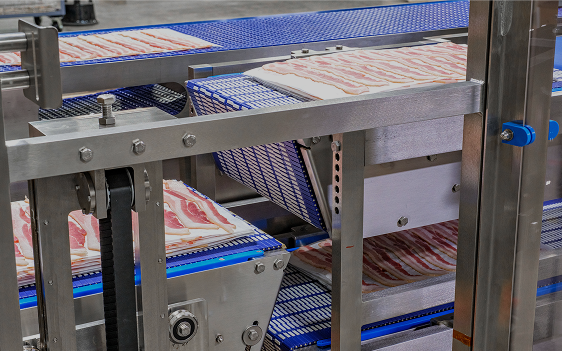 Bacon Application Consultation